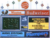 Incredible Wizard Ad at Baseball Game