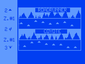 Coyote Roadrunner Desert Race